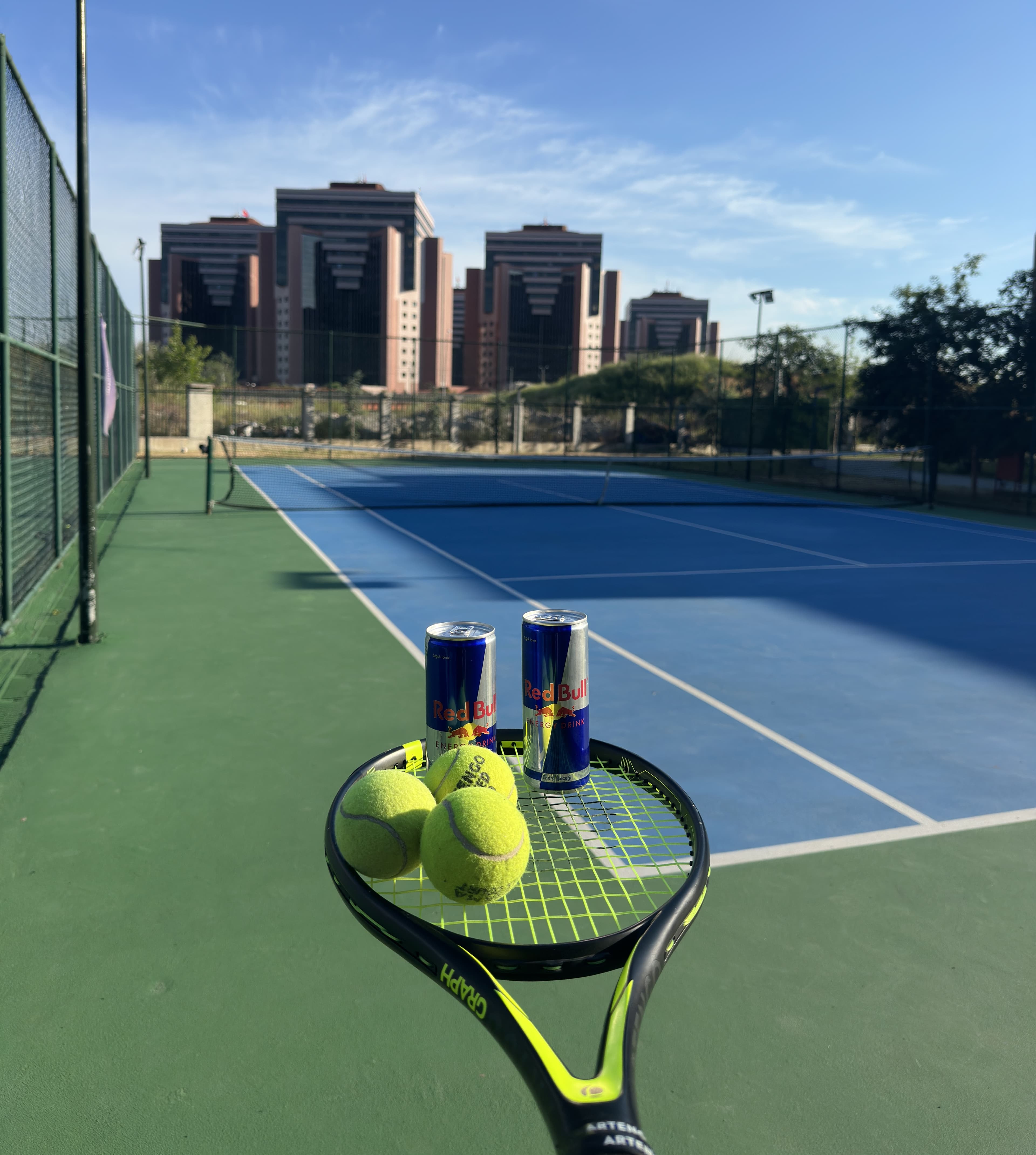 Tenis branşı
