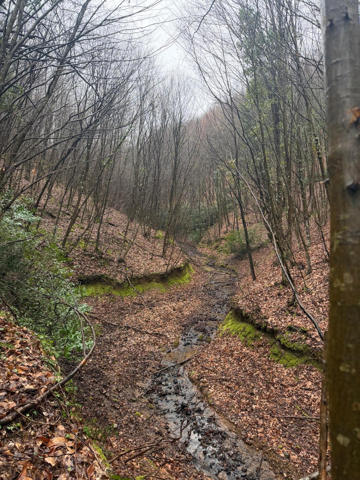 Holly Sport Trekking & Hiking etkinliği 1