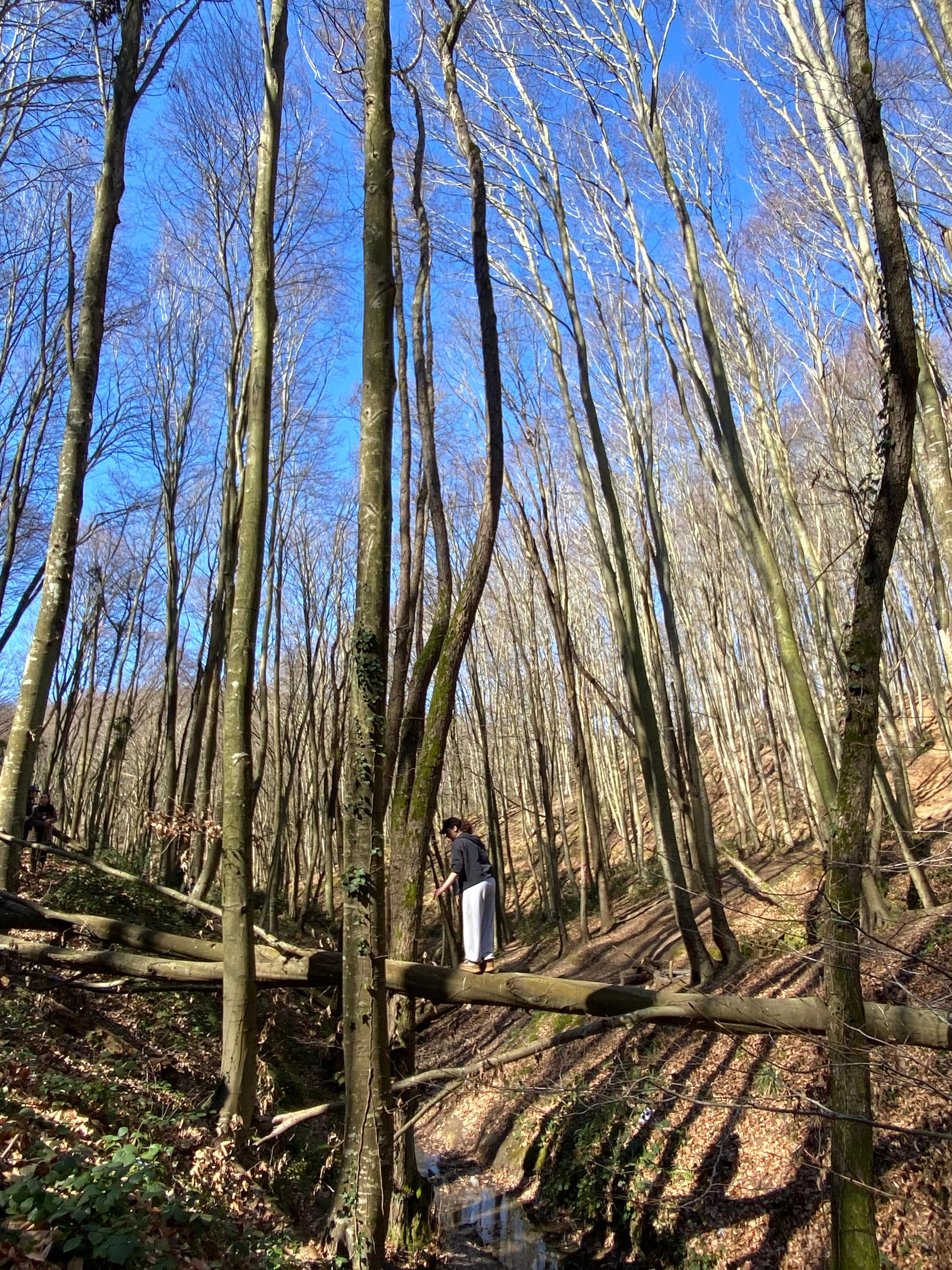 Holly Sport Trekking & Hiking etkinliği 10